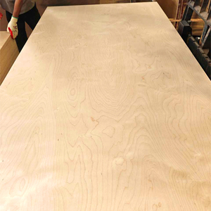Madera contrachapada de abedul 12mm 17mm 18mm 25mm película enfrentada <span class=keywords><strong>precio</strong></span> ruso preacabado 3mm hoja de madera contrachapada de abedul báltico 3/4 - Product Image 6