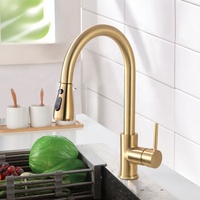 Robinet de cuisine moderne à poignée unique avec douchette extractible, design anti-éclaboussures robuste, construction durable pour usage hôtelier
