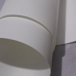 ภาพวาดสีเดียวสำหรับห้องนั่งเล่นรูปเล็บ June 1984 - Product Image 6