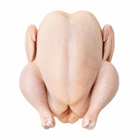 Poulet entier surgelé de qualité supérieure pour l'exportation - Volaille de chair IQF pour la restauration en gros et la distribution au détail