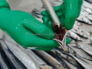 Sgombro del Pacifico Selvatico Cololabis Saira Congelato Intero, Conservato in Acqua, Confezionato per Inscatolamento e Grossisti di Pesce Congelato - Product Image 3