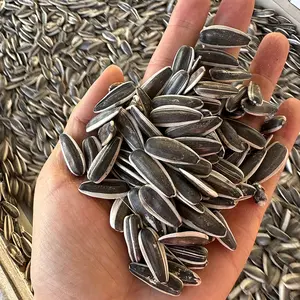 Chine chinoise crue en gros graines de tournesol noyau par tonne prix 601 361 363 5009
