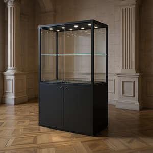 Vitrina para Museo de Hierro de 120x60x200 cm con Iluminación LED y Puerta de Vidrio - Product Image 2