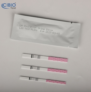 임신 조기 진단 키트 및 배란 키트 |   HCG & LH 임신 테스트 스트립, 고감도, 빠르고 정확한 결과를 집에서 확인 가능 - Product Image 4