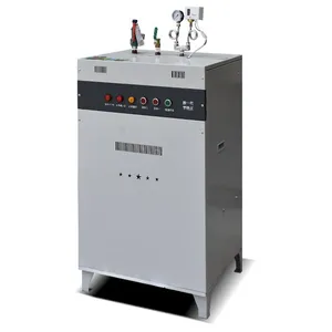Portable small electric steam boiler for ironing machine in textile and garment factory
