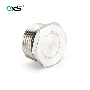 Cache-vis hexagonale en acier inoxydable 304, bouchons aveugles, anti-explosion, nickelés, presse-étoupe ISO9001 IP68 M20 - Product Image 1