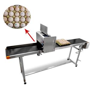 Máquina para Imprimir en Huevos con Precio Bajo, Impresora de Inyección de Tinta de Formato Ancho para Huevos/Máquina para Sellar Huevos con Fecha de Caducidad - Product Image 1