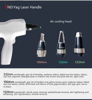 Machine à laser picoseconde Nd Yag pour l'élimination des tatouages, 1064 nm/532 nm/1320 nm, portable, instruments de beauté dermatologiques commerciaux, laser Q-switched