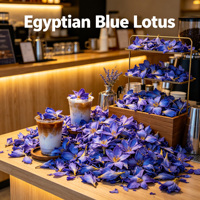 Fleur de lotus entière de haute qualité, conforme aux normes alimentaires européennes, Nymphaea Caerulea, naturelle, fumable, en vrac, thé bleu à base de plantes