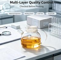 Théière en verre borosilicate avec infuseur amovible, théière en verre transparent pour thé en vrac et thé aux fleurs, vente en gros d'usine, OEM accepté