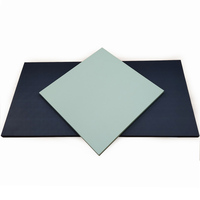Tapis de judo IJF Tatami, tapis de grappling à vendre