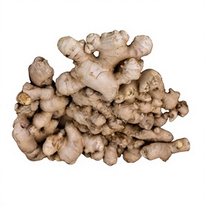 Rizoma de Jengibre Natural, Materia Prima Herbal, Piezas de Rizoma de Jengibre Seco de Primera Calidad, Ingrediente Botánico de Rizoma de Jengibre - Product Image 1