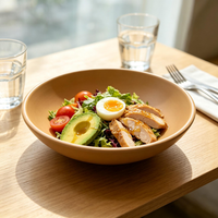 Groothandel Moderne Minimalistische Geglazuurde Keramische Soepkommen Porseleinen Salade- en Ontbijtbakjes Vaatwasser- en Magnetronbestendig Hittebestendig