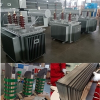Transformador de Distribución de Aceite con Núcleo Toroidal ONAN Trifásico de 150 kVA, 250 kVA, 600 kVA, 11 kV, 33 kV, Estándar BS