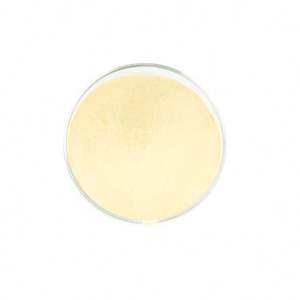 OEM yüksek kaliteli gıda sınıfı süt proteini peptid özü hidrolize Whey <span class=keywords><strong>Protein</strong></span> ham toz davul ambalajında satılık - Product Image 2