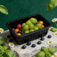 Groothandel recyclebare PP PLA plastic trays voedselcontainers groenten fruit voedselverpakkingsdoos voor koudeketen verse voeding
