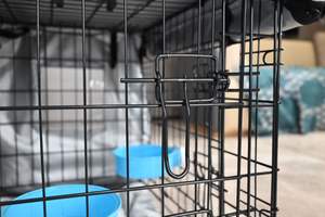 Profesyonel fabrika taşınabilir köpek kafesi ev dayanıklı kapalı 24x17x19 inç Metal kulübesi kolay çift kapılar katlanır uzun ömürlü - Product Image 6