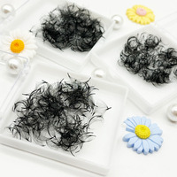 Extensions de cils en éventail préfabriqués Premium Loose Fans 0.03 10D 14D 16D Volume, 300 500 1000 éventails en vrac, Fournisseur de cils