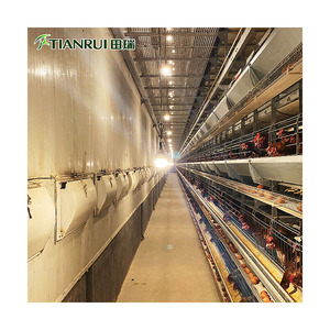 Tavuk çiftliği ekipmanları kalça daldırma galvanizli çelik H tipi çok katlı katman yetiştiriciliği pil tavuk kafesi - Product Image 3