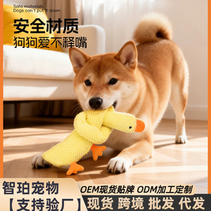 Jouets pour chiens, jouets en peluche durables qui font du bruit, parfaits pour les chiots, les Bichons, les Teddy Bears et les Corgis, un excellent moyen de les réjouter. - Product Image 4