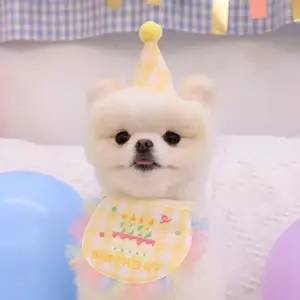 Hülle Haustier Feiertag Geburtstag Kostüme Karten Spitzen Mädchen Hund Bandanas Welpen Bib Schals Bichon Chihuahua