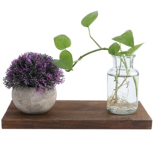 <b>Wall</b>-<b>mounted</b> Solid Wood <b>Shelf</b> Rectangle Single Layer Living Room Display Rack Flower Pot Storage - Product Image 2