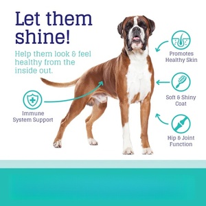 OEM/ODM Marque Privée Friandises Molles pour Chiens Soutien Immunitaire Huile de Poisson Absorption Rapide Vitamines Minéraux Santé des Articulations Sensibles Grandes Tailles Tous Types - Product Image 4