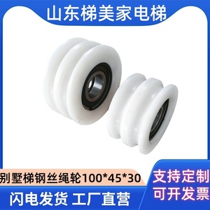Polea de Nylon de Doble Ranura de 100 mm para Rueda Guía de Elevador de Construcción con Rodamiento - Product Image 5