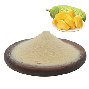 factory supply natural freeze dried Jackfruit Powder Panasa Nangka powder for food