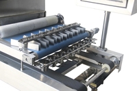 Machine automatique de saupoudrage de granulés pour plateaux de cuisson, idéale pour les pépites de chocolat, les raisins secs et les noix
