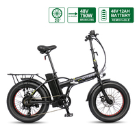 Vélo électrique à pneus larges 36V 250W, moteur arrière sans balais, cadre en alliage d'aluminium, frein à disque, batterie au lithium