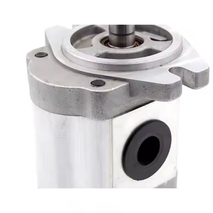 CBHS-FL-316 16 cc/rev usine directe et personnalisable 16 cc/rev pompe à engrenages hydraulique matériel de fonte - Product Image 6