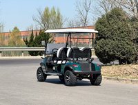Voiturette de golf électrique 4 places certifiée CE EEC GCC, moteur AC Curtis 48V, en acier, étanche, rehaussée, utilitaire