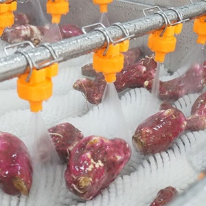 Ligne de production automatique personnalisée de patates douces avec friteuse pour légumes et produits céréaliers, ligne de nettoyage - Product Image 3