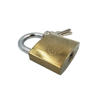 Timbre de marque cylindre en laiton, cadenas en fer, plaque électronique plaqué or et titane, bon marché, 32mm, 10 pièces