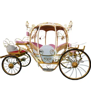 China supplier electric high quality pumpkin carriage new custom prince pumpkin carriage special transportation