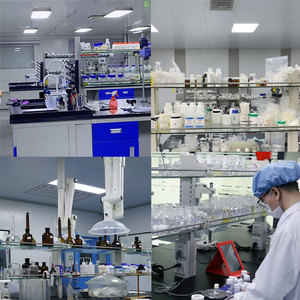 ผงไบโอตินเกรดอาหาร CAS 8059-24-3 วิตามินบี6 จำหน่ายจำนวนมาก วิตามินบี1 บี6 บี12 แบบเม็ด วิตามินบี6 แบบกัมมี่ วิตามินบี3 บี6 บี12 - Product Image 4