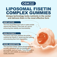 Gummies liquides liposomales de 200 mg de Fisetin et Resvératrol avec Trans-Resvératrol, Quercétine, Lutéoline pour le soutien de la longévité et le renouvellement cellulaire – OEM