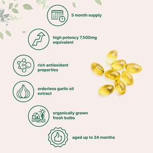 كبسولات زيت الثوم الطبيعي المستخلص بدون رائحة للبالغين بتركيبة مخصصة - Product Image 4