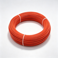 Câble de boucle de détection de véhicule pour barrière de stationnement automatique WS – Pièce de rechange pour système de détection de barrière d'accès