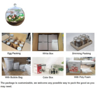 Vas kaca terarium Dekorasi seni DIY Modern dengan tutup untuk dekorasi rumah vas dinding meja kantor tampilan bunga Desktop restoran