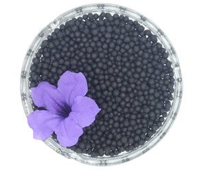 Wellagri NPK12-0-1 Fertilizante Orgánico de Alta Calidad en Gránulos Negros, Apto para Verduras y Frutas - Product Image 6