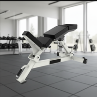 Banc inclinable réglable en acier inoxydable commercial pour la musculation du dos et des bras