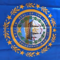 Drapeau du Nouveau Hampshire brodé en Oxford 210D, 3x5 pieds, durable, pour événements, écoles, gouvernement, vente en gros