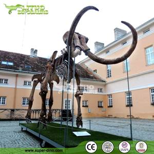 Museo de Fósiles de Animales, Dinosaurio de Mamut Animado y Realista en 3D - Product Image 6