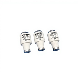ฟิวส์ทองแดงประสิทธิภาพสูง DIII 63A AC พร้อมความสามารถในการตัดวงจรสูง แบบ DIAZED - Product Image 4