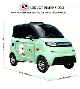 Voiture électrique compacte 4 roues 2025 EEC, garantie qualité, autonomie 100 km, quatre places, transmission électrique - Product Image 4