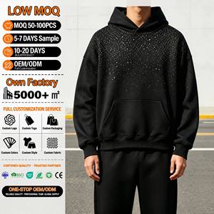 Sweat-shirt à capuche surdimensionné pour homme, 100% coton, tissu éponge français, impression sérigraphique, vêtements décontractés d'automne, sweats à capuche personnalisés OEM - Product Image 1