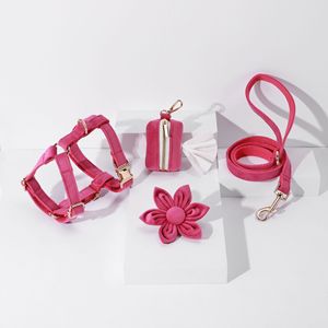 Arnés de Lujo de Terciopelo para Perro, Superventas 2026, Conjunto Premium Lavable de Arnés de Pecho para Mascotas con Correa a Juego, Logotipo Personalizado A - Product Image 5