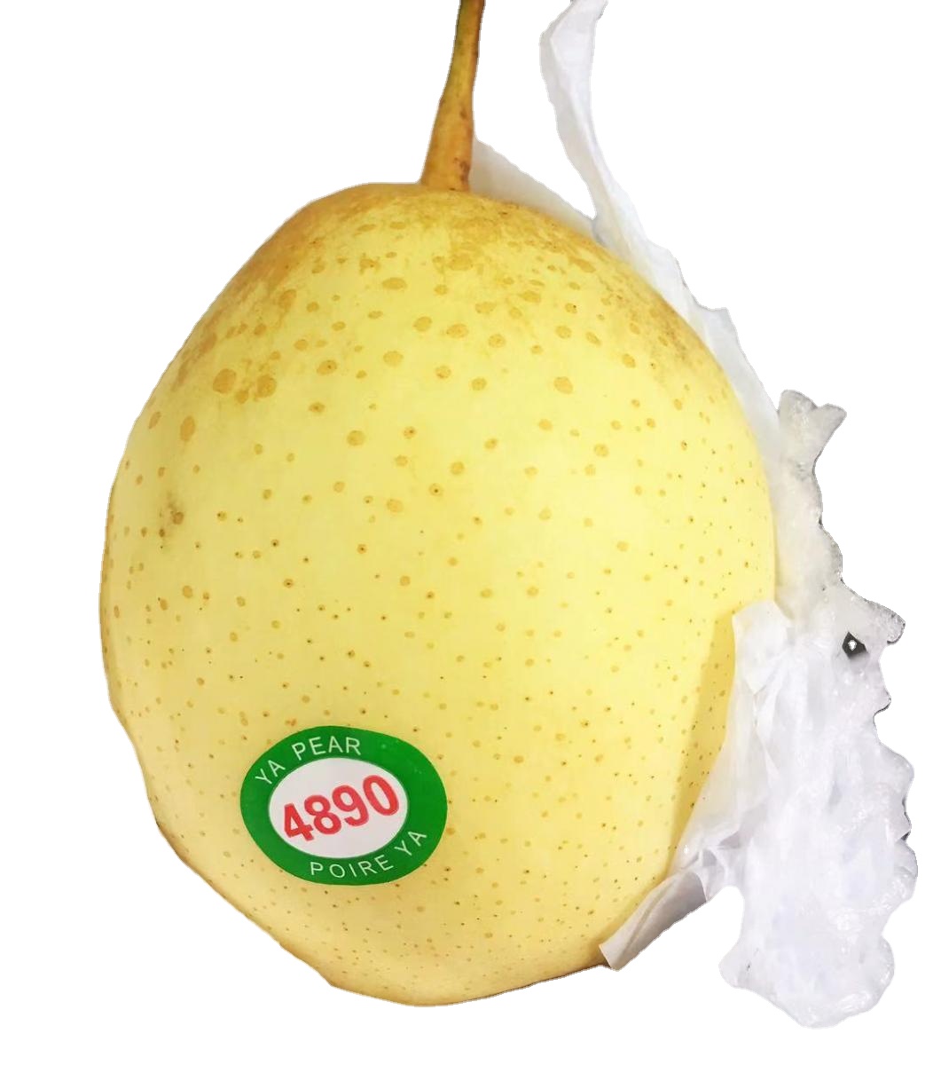 Свежая груша, сладкие сочные фрукты премиум-класса, сезонная продукция, чистое земледелие, Высококачественные свежие фрукты